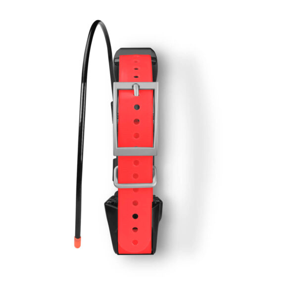 Coleira com GPS Garmin TT 15X Dog Device