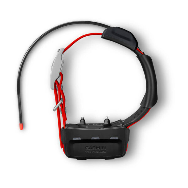 Coleira com GPS Garmin TT 15X Dog Device