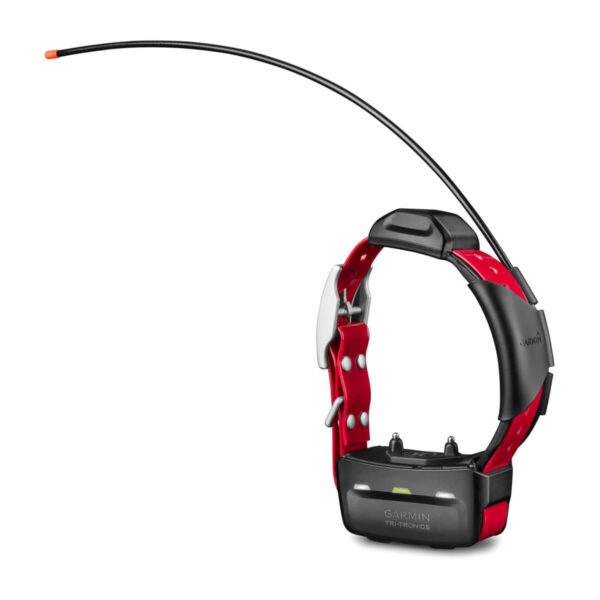 Coleira com GPS Garmin TT 15X Dog Device